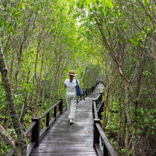 Load image into Gallery viewer, MANGROVE GUIDED TOUR 紅樹林導覽