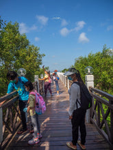 Load image into Gallery viewer, MANGROVE GUIDED TOUR 紅樹林導覽