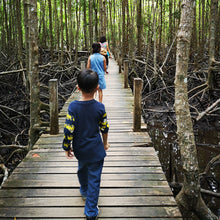 Load image into Gallery viewer, MINDFUL MANGROVE BATHING
