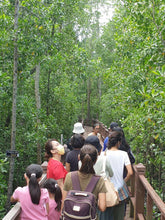 將圖片載入圖庫檢視器 MANGROVE GUIDED TOUR 紅樹林導覽
