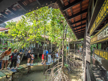 將圖片載入圖庫檢視器 MANGROVE GUIDED TOUR 紅樹林導覽
