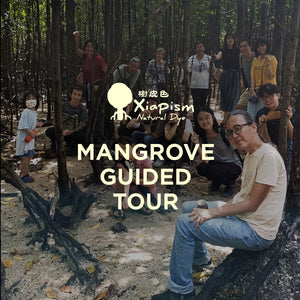 MANGROVE GUIDED TOUR 紅樹林導覽